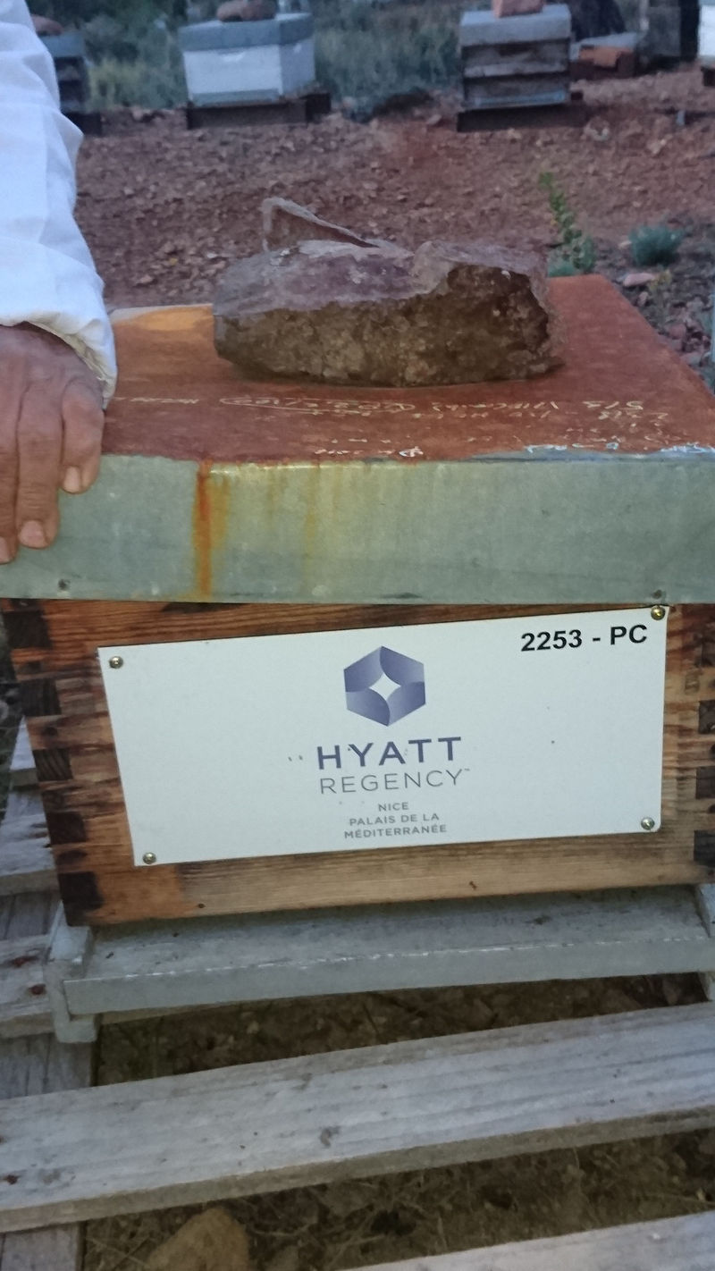La ruche Hyatt regency nice palais de la mediterranee